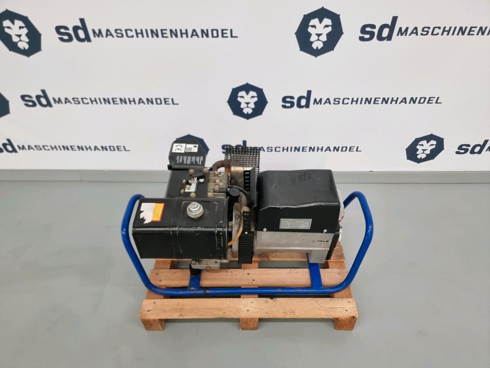 Endress 60 DBS/S Stromaggregat